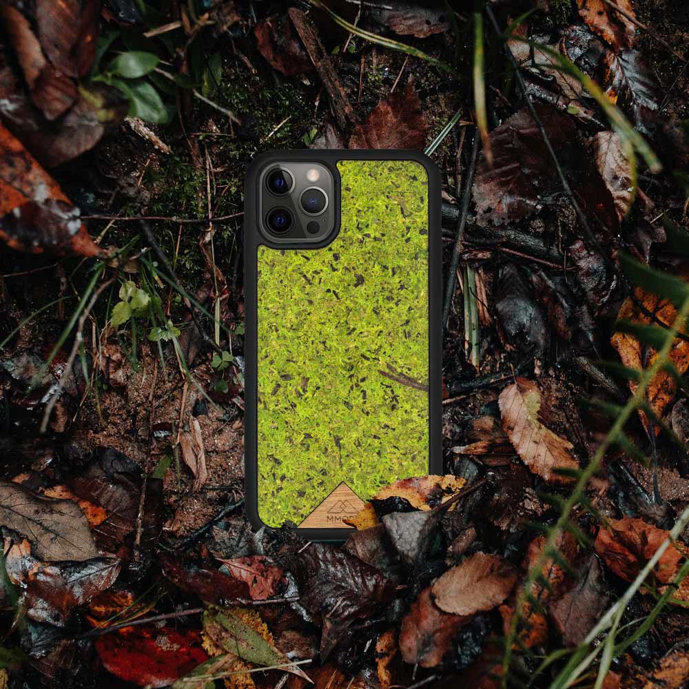 Forest Moss