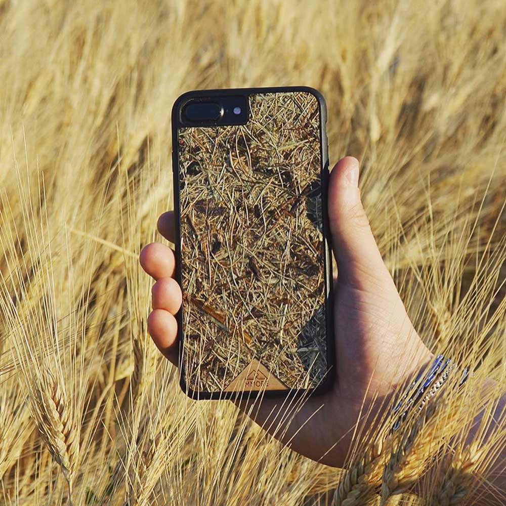 Alpine Hay